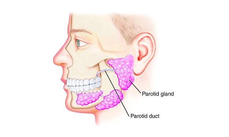 Examining the symptoms of salivary gland disorder | The best dentist in Isfahan