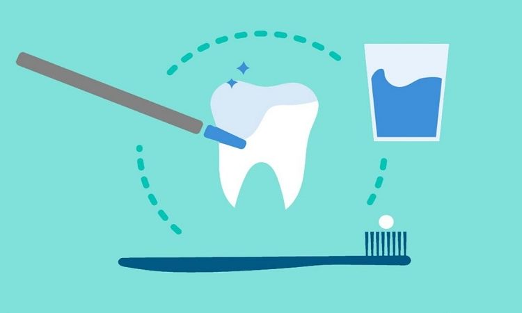Avantages et effets secondaires de la thérapie dentaire au fluorure | Le meilleur implant à Ispahan