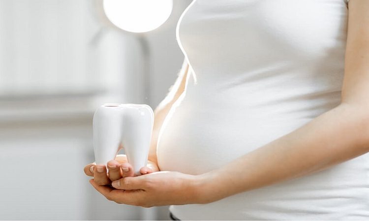 Low risk times for implant placement for pregnant women | The best dentist in Isfahan - The best gum surgeon in Isfahan - The best cosmetic dentist in Isfahan