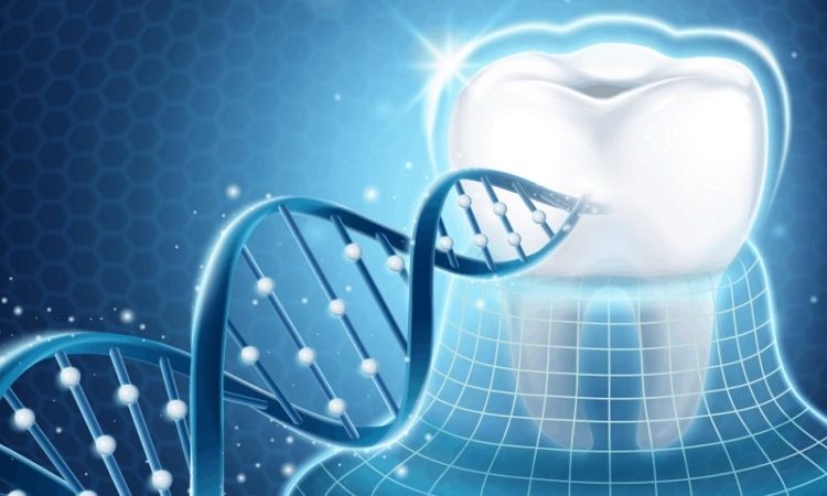 نقش ژنتیک در سلامت دهان | بهترین دندانپزشک اصفهان-بهترین جراح لثه اصفهان-قیمت ایمپلنت دندان اصفهان| دکتر حسین برجیان