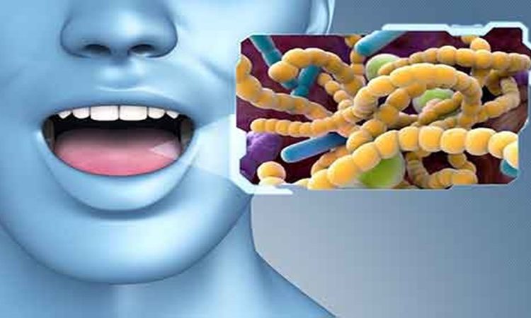 نقش پروبیوتیک‌ها در بهبود سلامت پریودنتال | بهترین دندانپزشک اصفهان-بهترین جراح لثه اصفهان-قیمت ایمپلنت دندان اصفهان| دکتر حسین برجیان